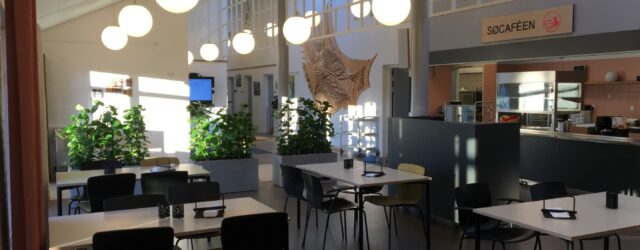 lokalcenter brabrand
